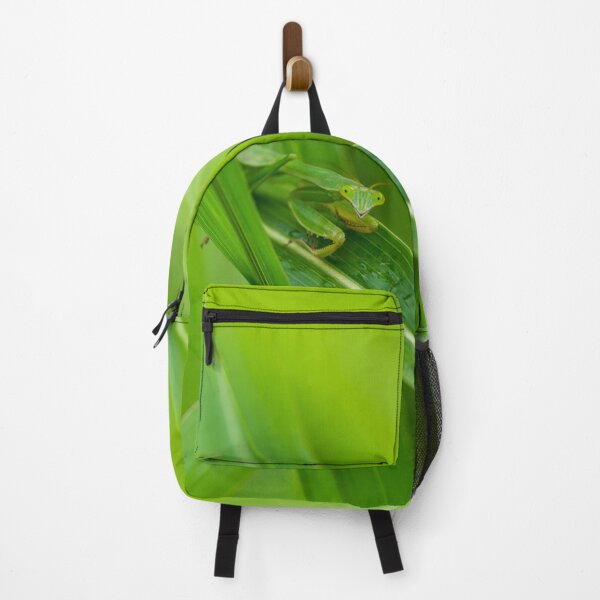 Item preview, Smiling Praying Mantis designed and sold by mljdwhite.