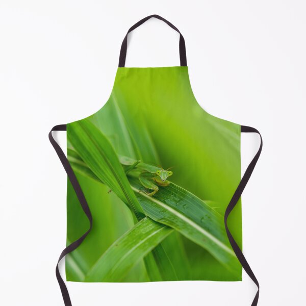 Item preview, Smiling Praying Mantis designed and sold by mljdwhite.