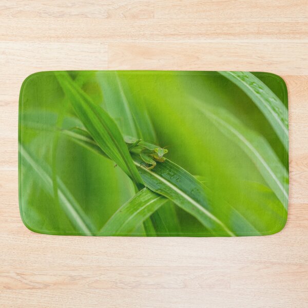 Item preview, Smiling Praying Mantis designed and sold by mljdwhite.