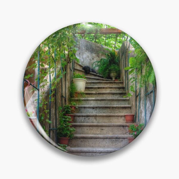 Item preview, Potted plants and a dog on the steps designed and sold by tomg.