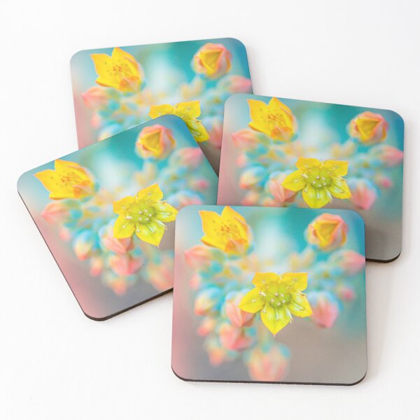 Item preview, Echeveria designed and sold by alan shapiro.