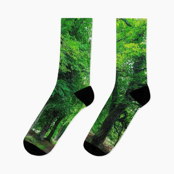 Item preview, Pathway Through the Forest designed and sold by CClarkePhotos.