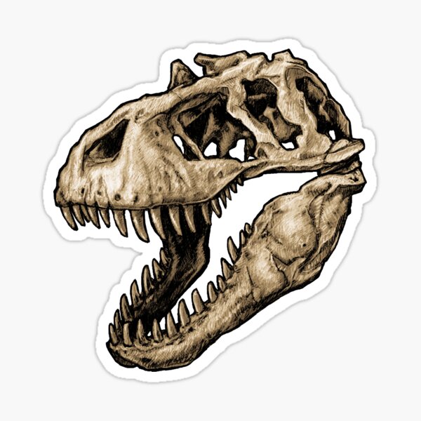 Dinosaur Skull Tyrannosaurus Rex 2 Sticker