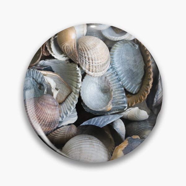Item preview, Sea Shells  designed and sold by Poptopia.