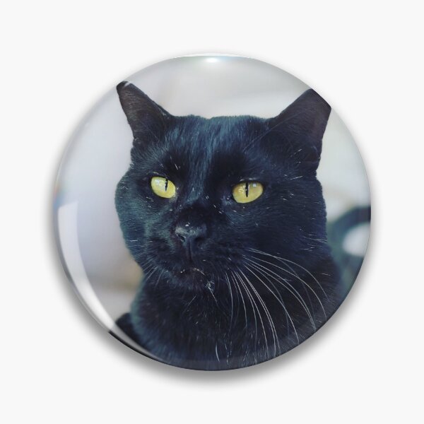 Item preview, Salem designed and sold by SGArguello.