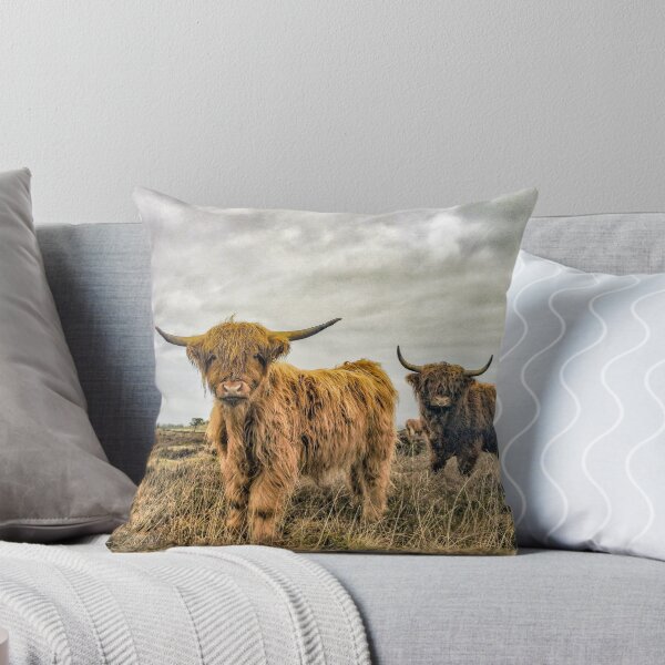 Item preview, Hairy Higland Cow - A cute and fluffy gift for a Scotland lover designed and sold by utaini.