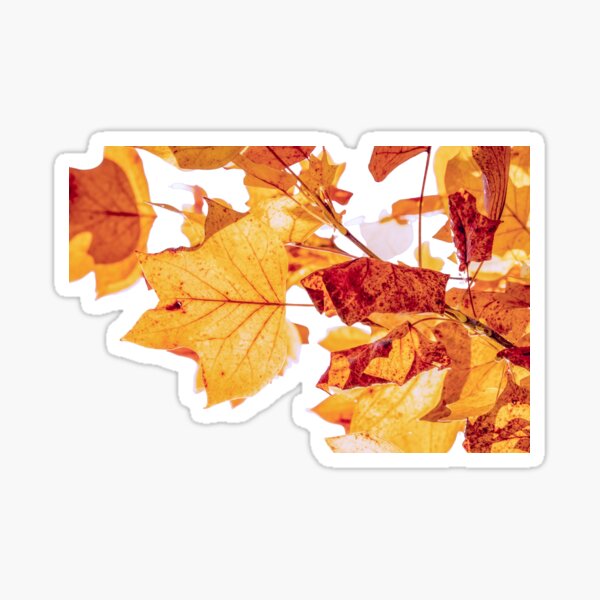 Item preview, Fall leaves designed and sold by Ledosdesigns.