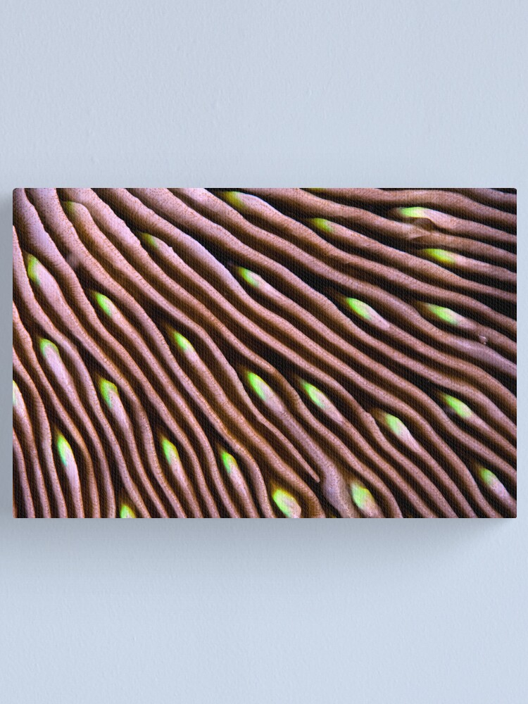 Alternate view of Hypnotic wave Canvas Print
