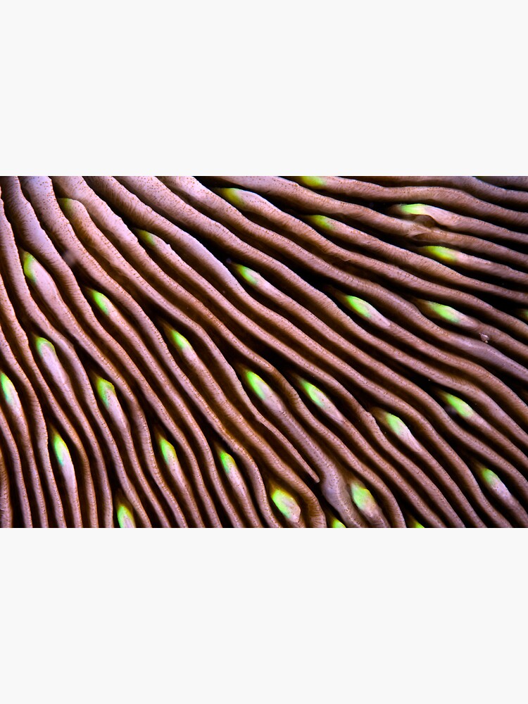 Hypnotic wave by DavidWachenfeld