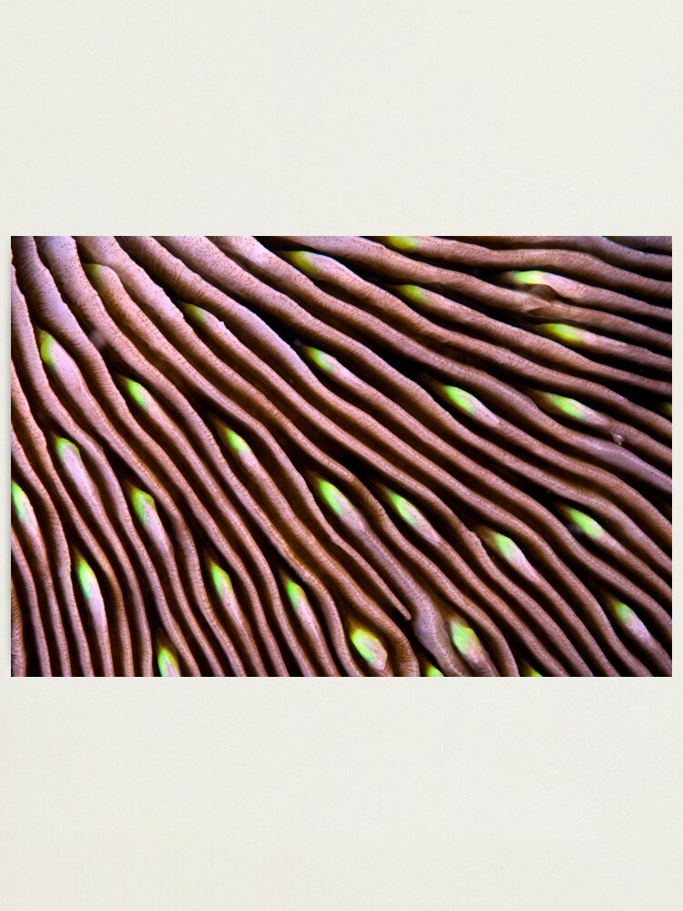 Alternate view of Hypnotic wave Photographic Print