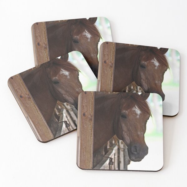 Item preview, Hello! Horse had looking with curiosity from the stable. designed and sold by Maryna Gumenyuk.