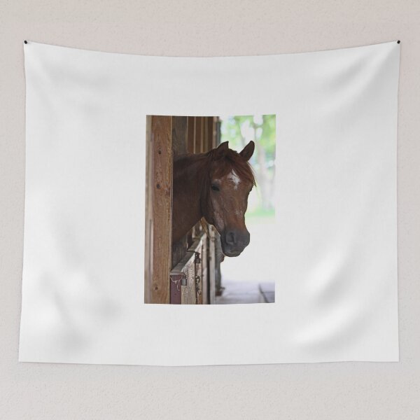 Item preview, Hello! Horse had looking with curiosity from the stable. designed and sold by Maryna Gumenyuk.