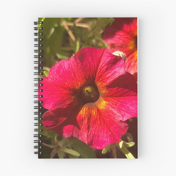 Item preview, Red Dome Aster Flower designed and sold by Kaushal Pal.