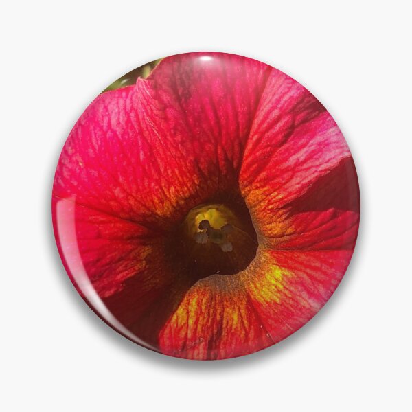Item preview, Red Dome Aster Flower designed and sold by Kaushal Pal.