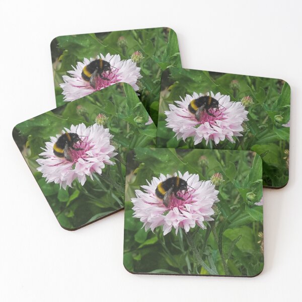 Item preview, Bumblebee on a white and pink Cornflower  designed and sold by ArtisticMishaps.