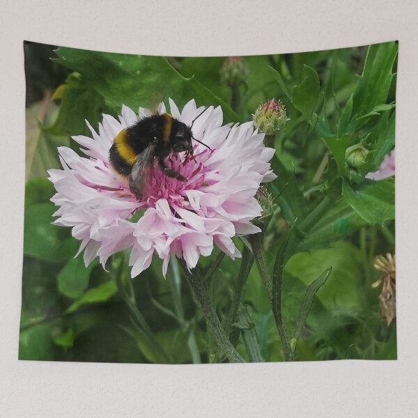 Item preview, Bumblebee on a white and pink Cornflower  designed and sold by ArtisticMishaps.