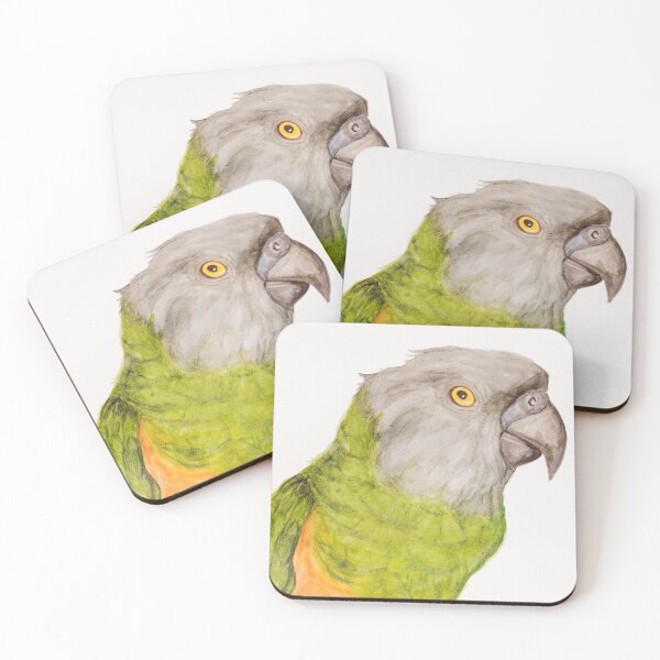 Item preview, Youyou of Senegal Parrot Parrot Tropical Bird Watercolor Art Print designed and sold by L'Atelier Oranjade.