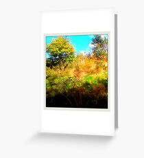 bushes and trees Greeting Card