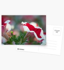 Flower languages...Got Featured Work Postcards