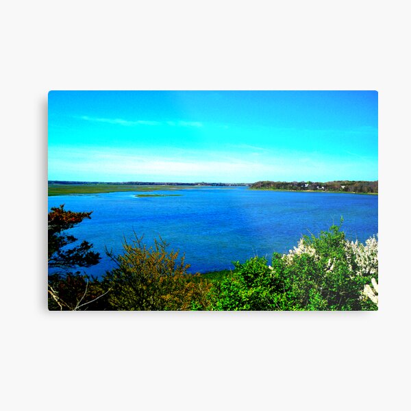 cape cod landscape Metal Print