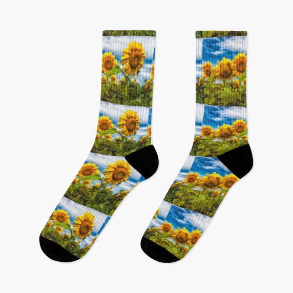Artikelvorschau, Sonnenblumen 4 entworfen und verkauft von Robert Alsop.