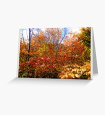 a mess of color Greeting Card