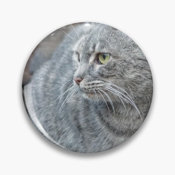 Item preview, Feral grey cat designed and sold by Beverley Goodwin.