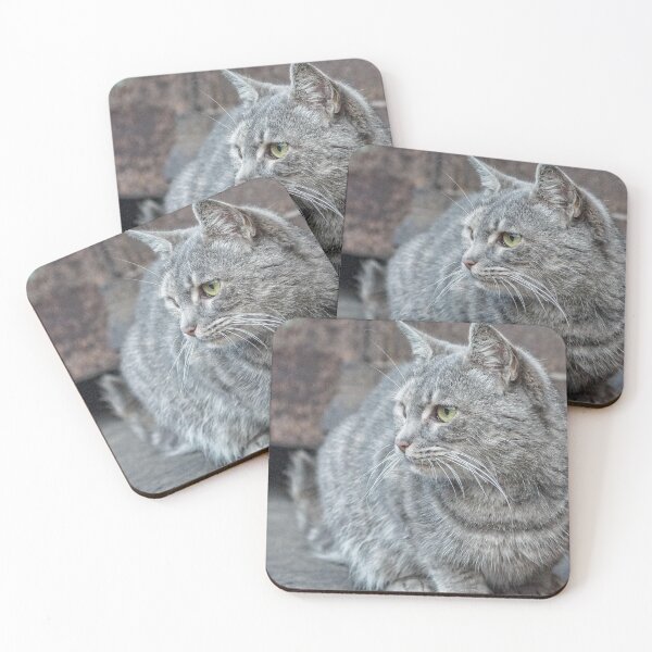 Item preview, Feral grey cat designed and sold by Beverley Goodwin.
