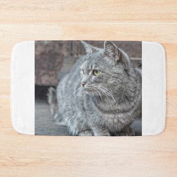 Item preview, Feral grey cat designed and sold by Beverley Goodwin.