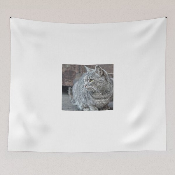 Item preview, Feral grey cat designed and sold by Beverley Goodwin.