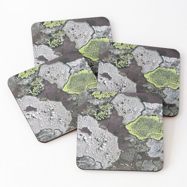 Item preview, lichen designed and sold by KathleenDawson.