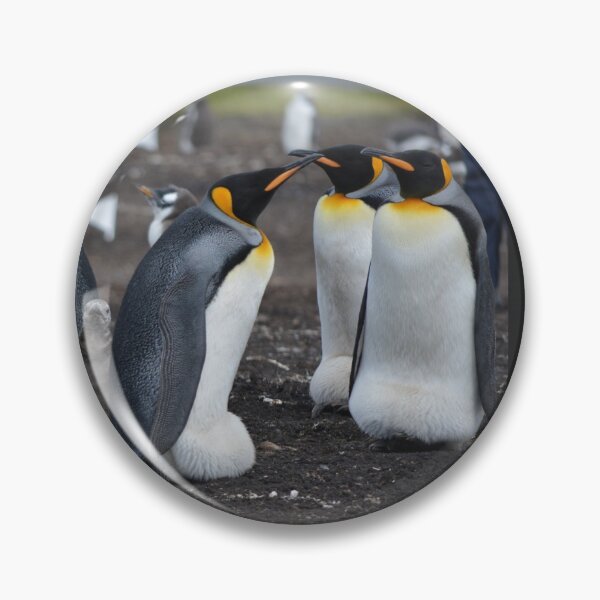 Item preview, Beautiful Penguin photograph  designed and sold by Wildjourne.