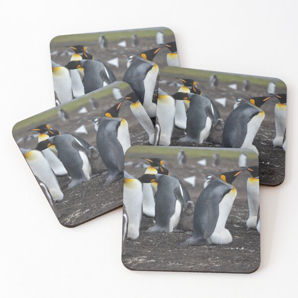 Item preview, Beautiful Penguin photograph  designed and sold by Wildjourne.