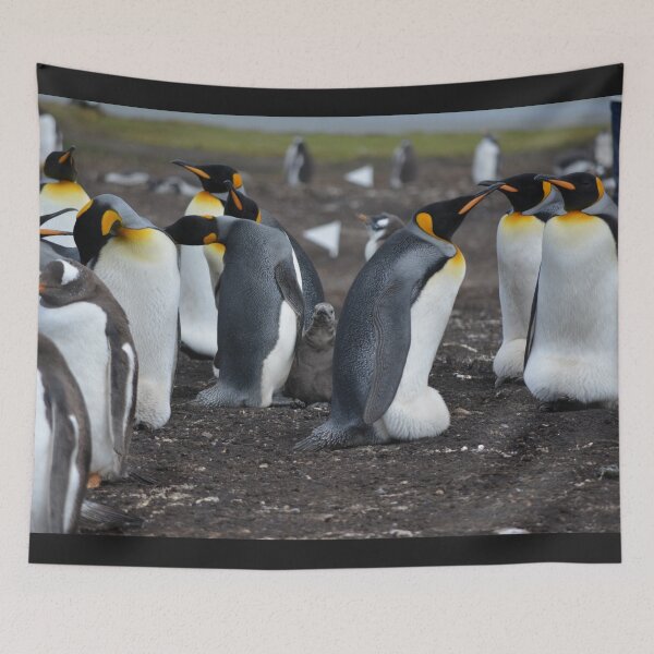Item preview, Beautiful Penguin photograph  designed and sold by Wildjourne.