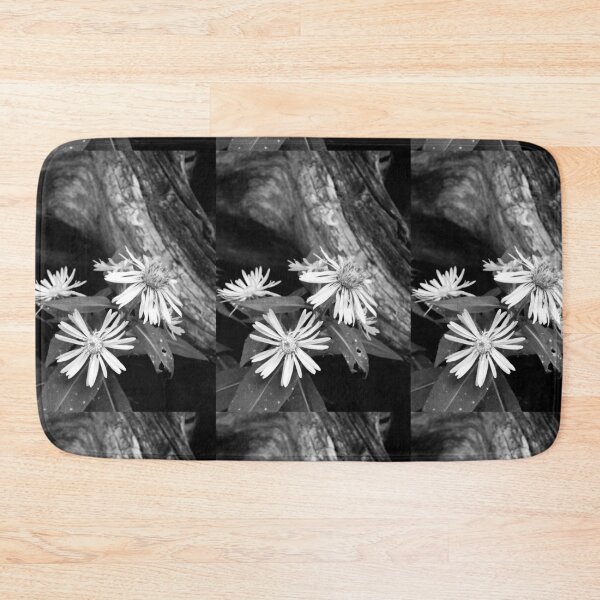 Item preview, Asters and Driftwood designed and sold by J Rier Photography.
