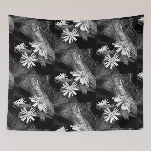 Item preview, Asters and Driftwood designed and sold by J Rier Photography.