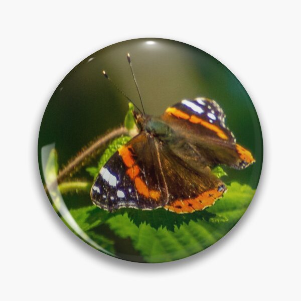 Item preview, Red admiral designed and sold by Sophie Lapsley.