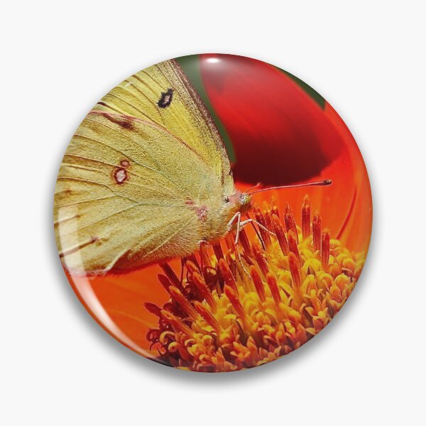 Item preview, Clouded Sulphur Butterfly on a Tithonia Flower designed and sold by BRENDA DOHERTY.