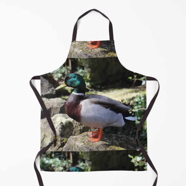 Item preview, Mallard Duck designed and sold by pinkal.