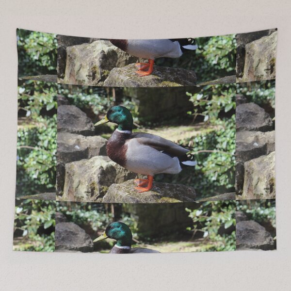 Item preview, Mallard Duck designed and sold by pinkal.