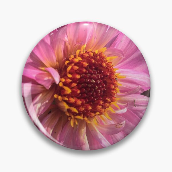 Item preview, Dusky Pink Dahlia Flower in bloom with Fiery Golden Orange Disc Florette 051 designed and sold by Bees-n-Flowers.