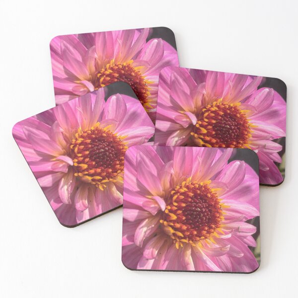 Item preview, Dusky Pink Dahlia Flower in bloom with Fiery Golden Orange Disc Florette 051 designed and sold by Bees-n-Flowers.
