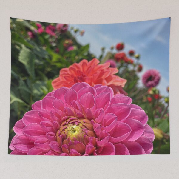 Item preview, Pink and Orange Dahlia Flowers blooming in the Garden 052 designed and sold by Bees-n-Flowers.