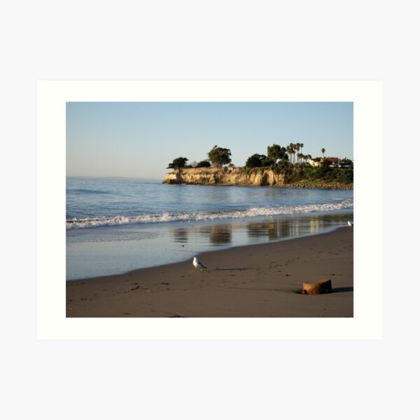 Seagull at the Beach Art Print