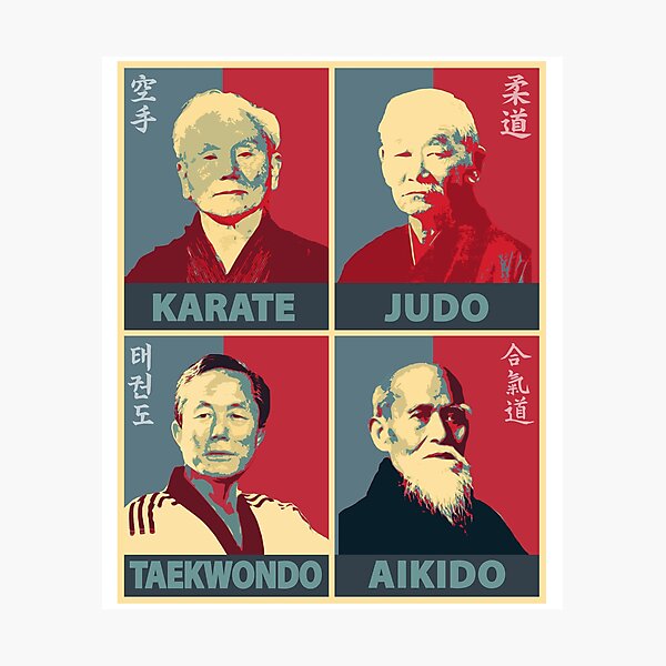 Martial Arts Founders Photographic Print