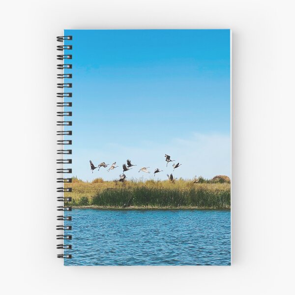 Item preview, Birds Taking Flight at the Lake designed and sold by KTrott-Photos.