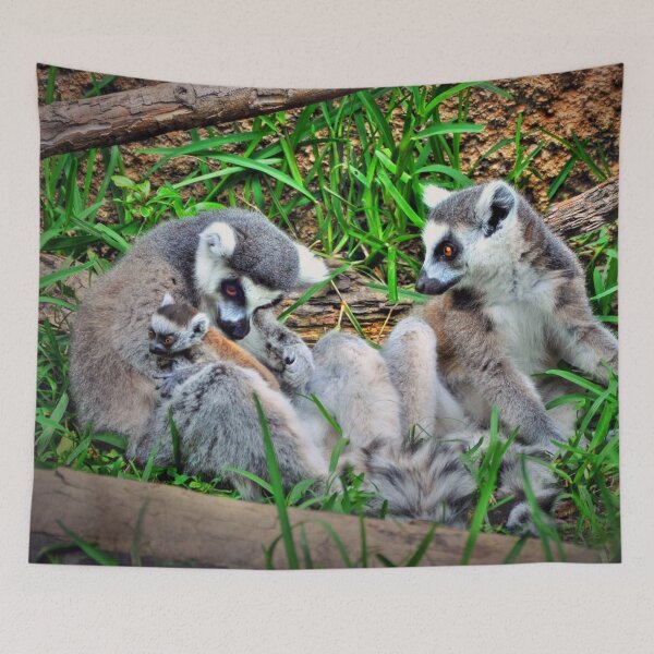 Item preview, Ring-tailed Lemur Family  designed and sold by Savannah Gibbs.