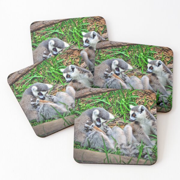 Item preview, Ring-tailed Lemur Family  designed and sold by Savannah Gibbs.
