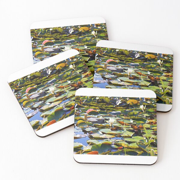 Item preview, Lily Pads and Crocus Flowers in Pond Nature Photo designed and sold by creativeloft.