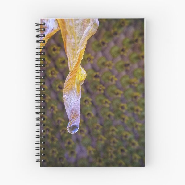 Item preview, Sunflower after the rain designed and sold by ChatStroh.